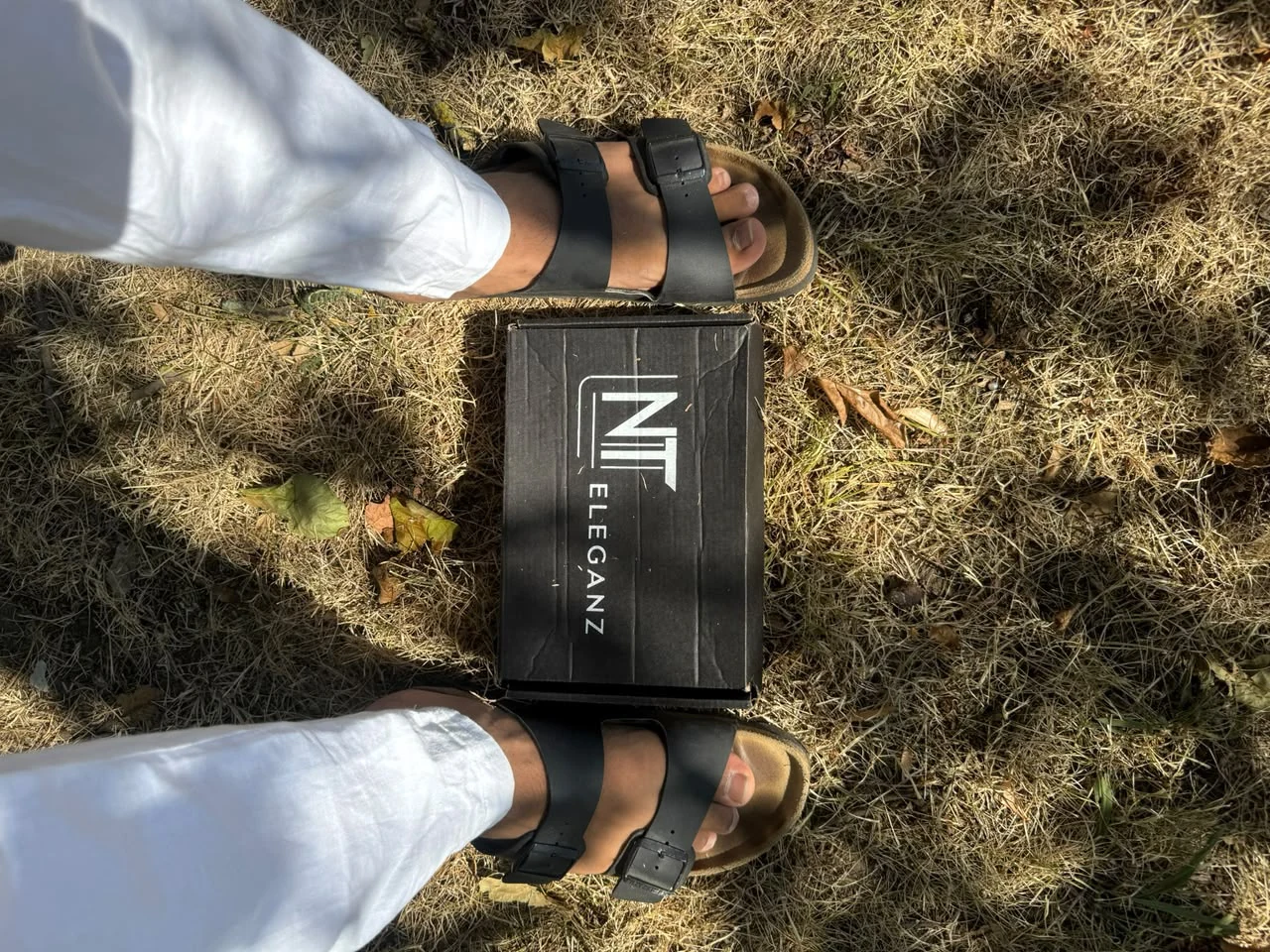 NT Eleganz em uma composição de verão